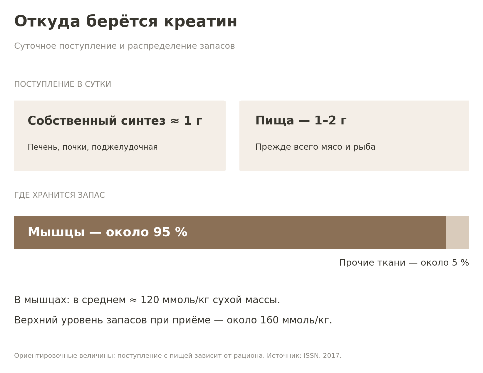 Суточные источники креатина и распределение его запасов в организме