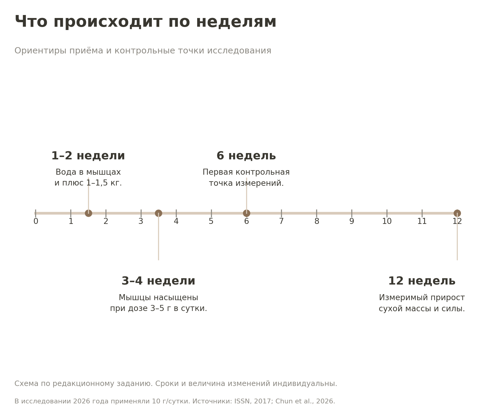 Шкала приёма креатина от первой до двенадцатой недели