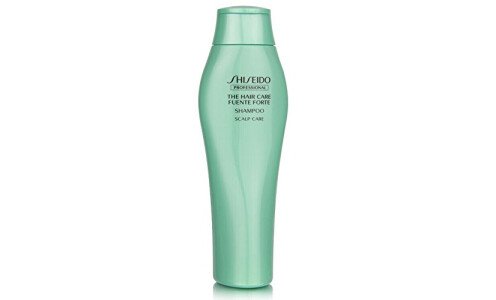 SHISEIDO Fuente Forte Shampoo — шампунь для сухой кожи головы, 250 мл